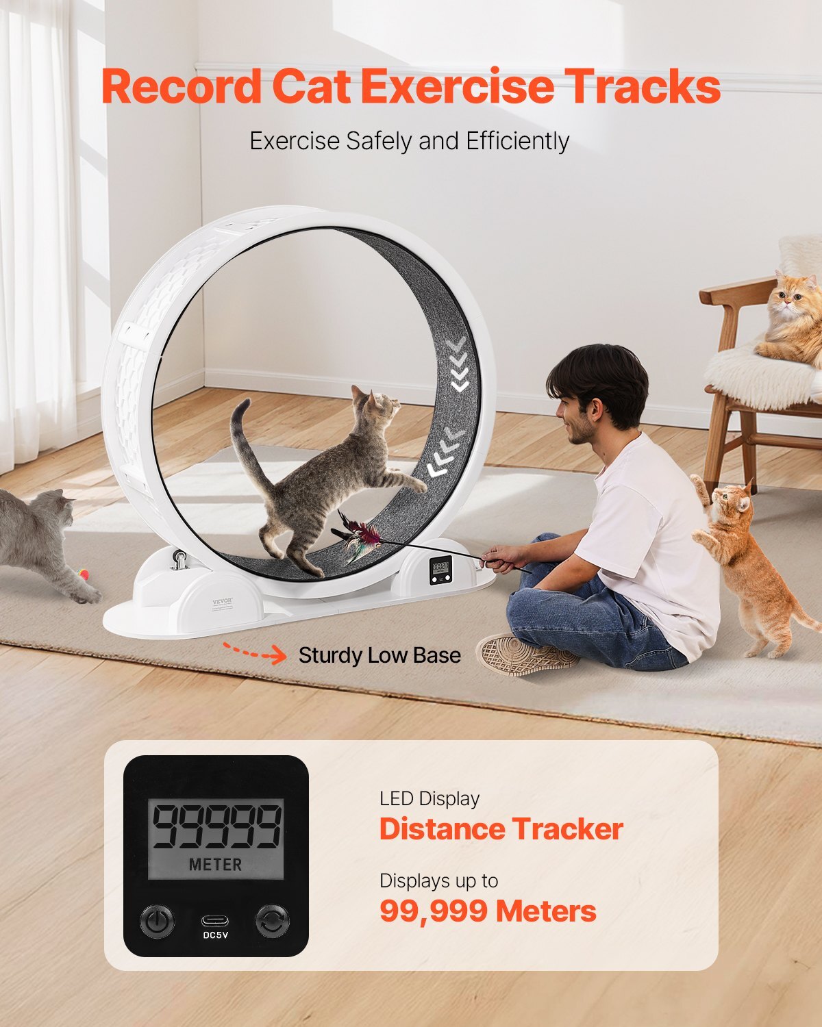 Cat Exercise Wheel with Pedometer, 40.8 in, Cat Running Wheel