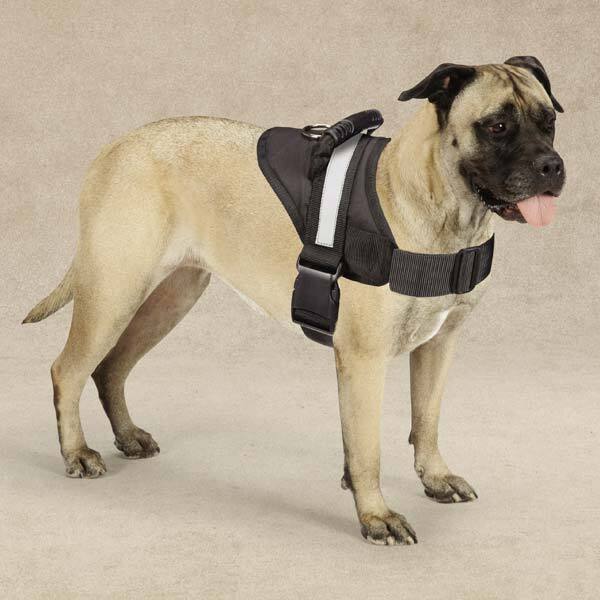 Guardian Gear Excursion Dog Harnesses L - LAWendy