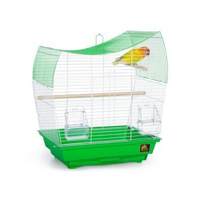 Prevue Pet Southbeach Green or White Wave Top SP50081 - LAWendy