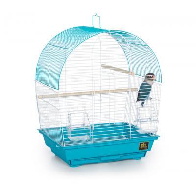 Prevue Pet Southbeach Teal White Dome Top SP50071 - LAWendy