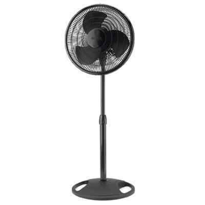 Stand Fan Blk16" Brown Box - LAWendy